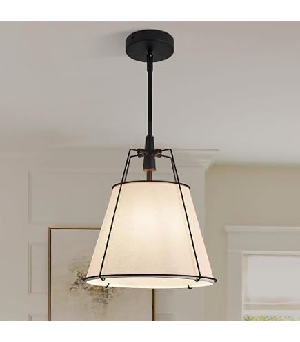 Z-Lite 488P12-MB Ayra Pendant, 1-Light 100 Watts, Matte Black
